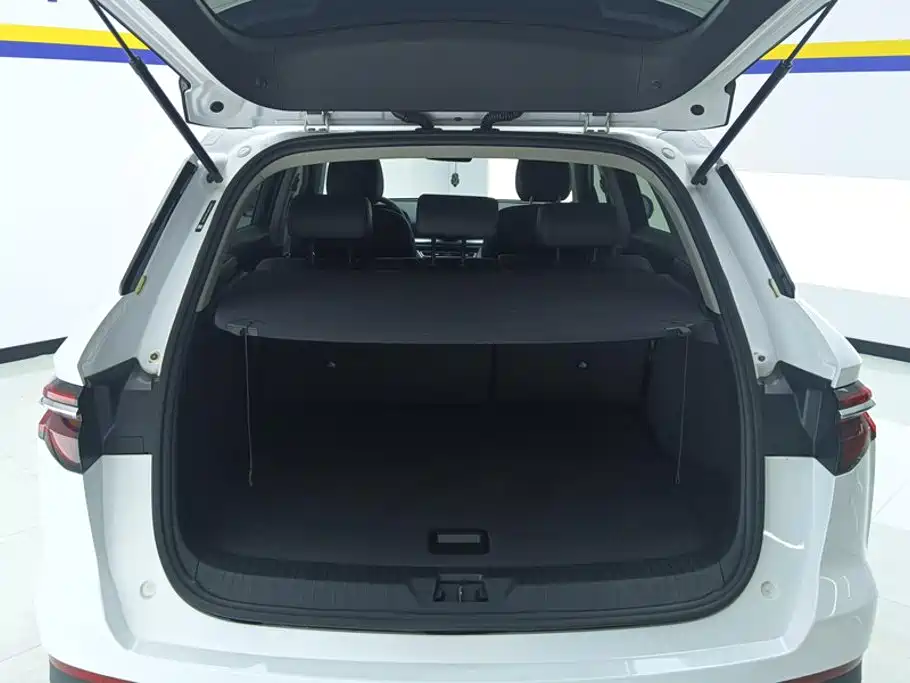 BYD Pro — миниатюра 4
