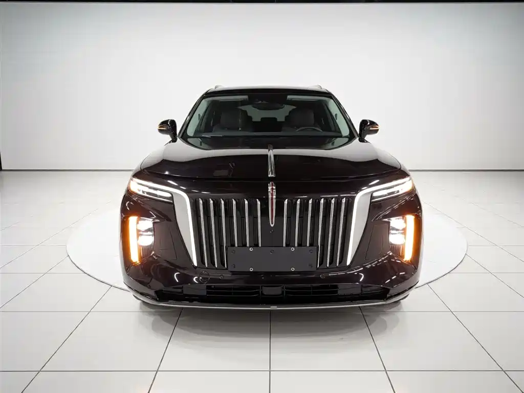 Hongqi E-HS9 2021 510km мест