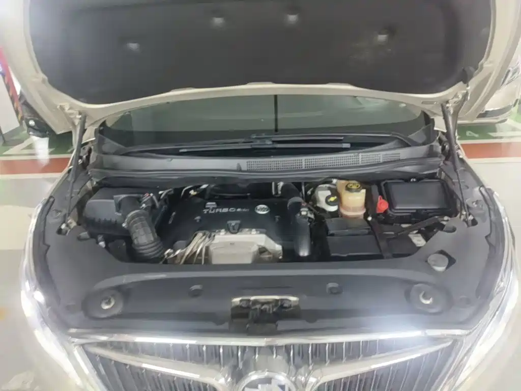 Buick GL8 — миниатюра 20