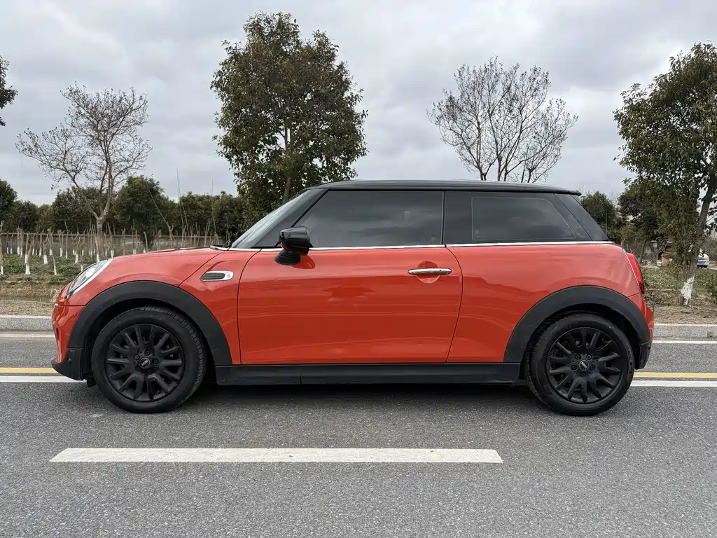 MINI 