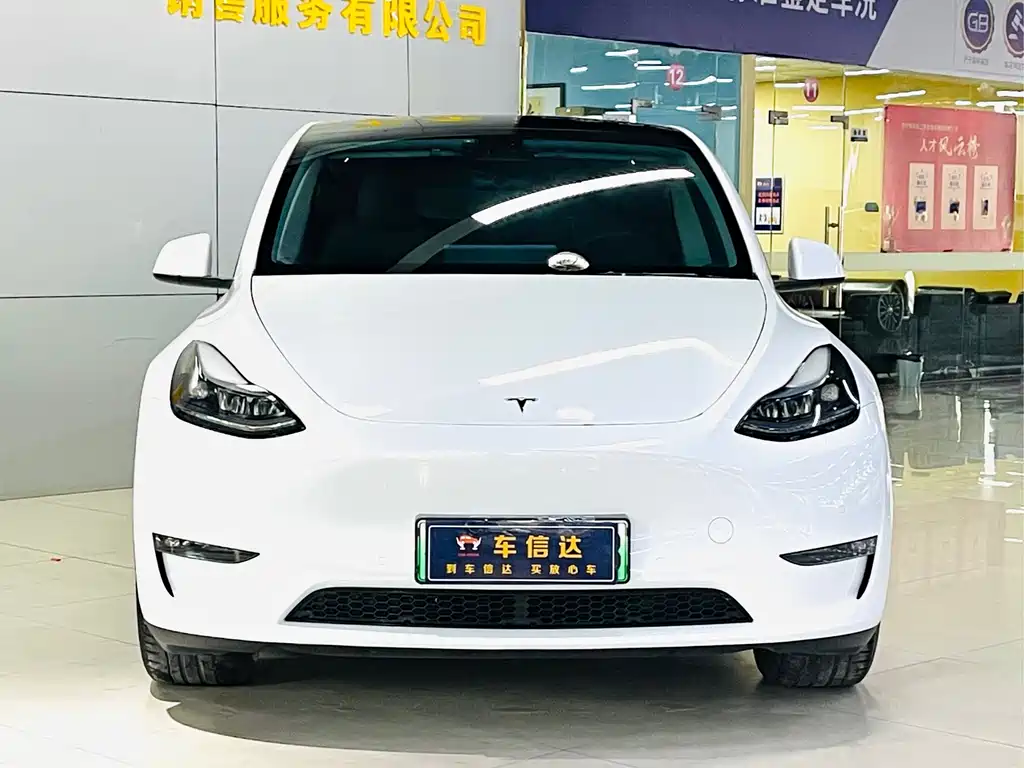 Tesla Model Y — миниатюра 2