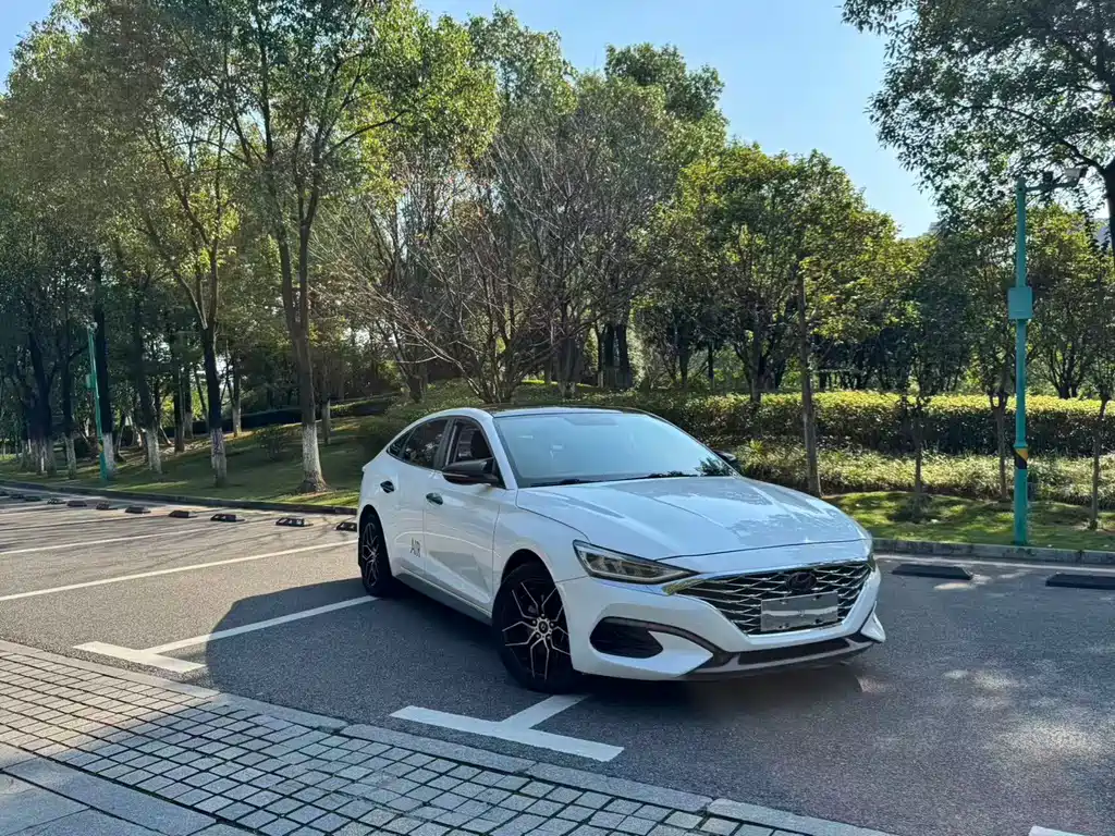 Hyundai Fista — миниатюра 3