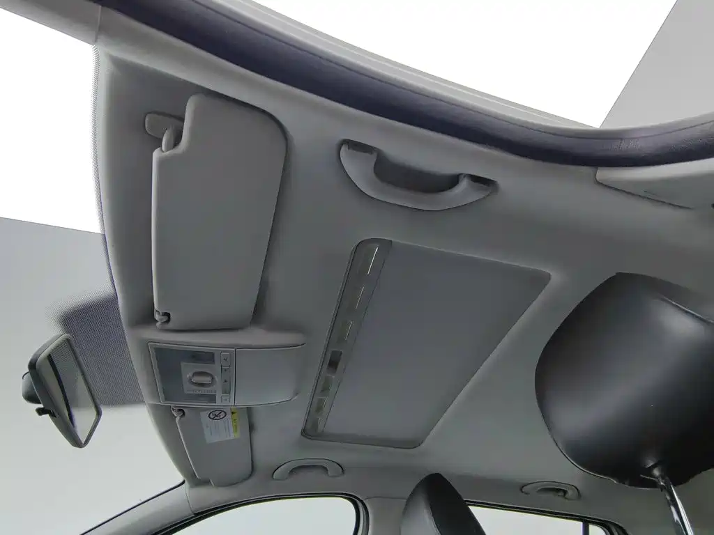 Volkswagen Gran Lavida — миниатюра 14