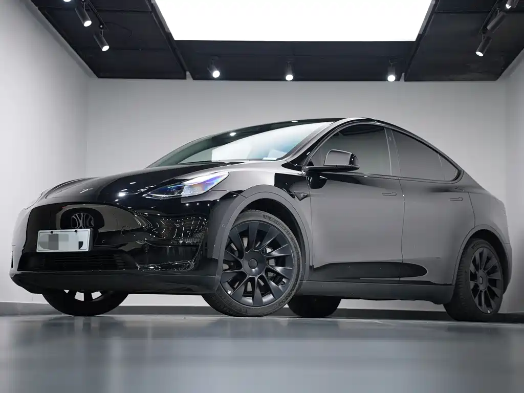 Tesla Model Y — миниатюра 3