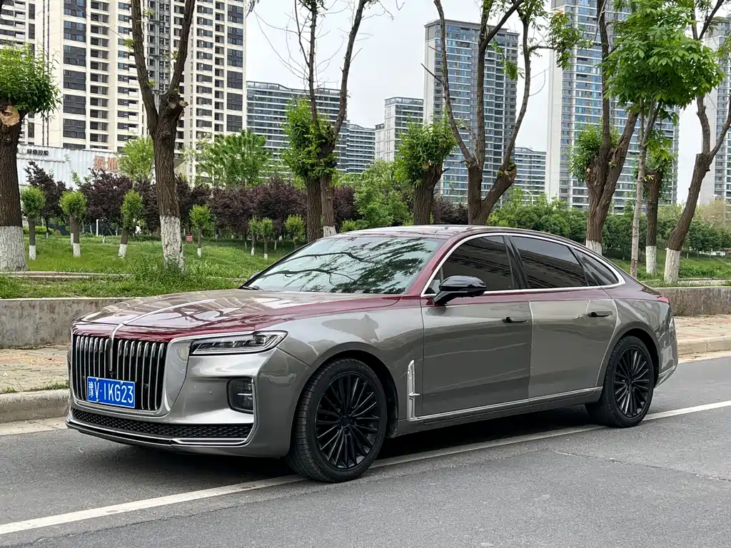 Hongqi Hongqi H9 2020