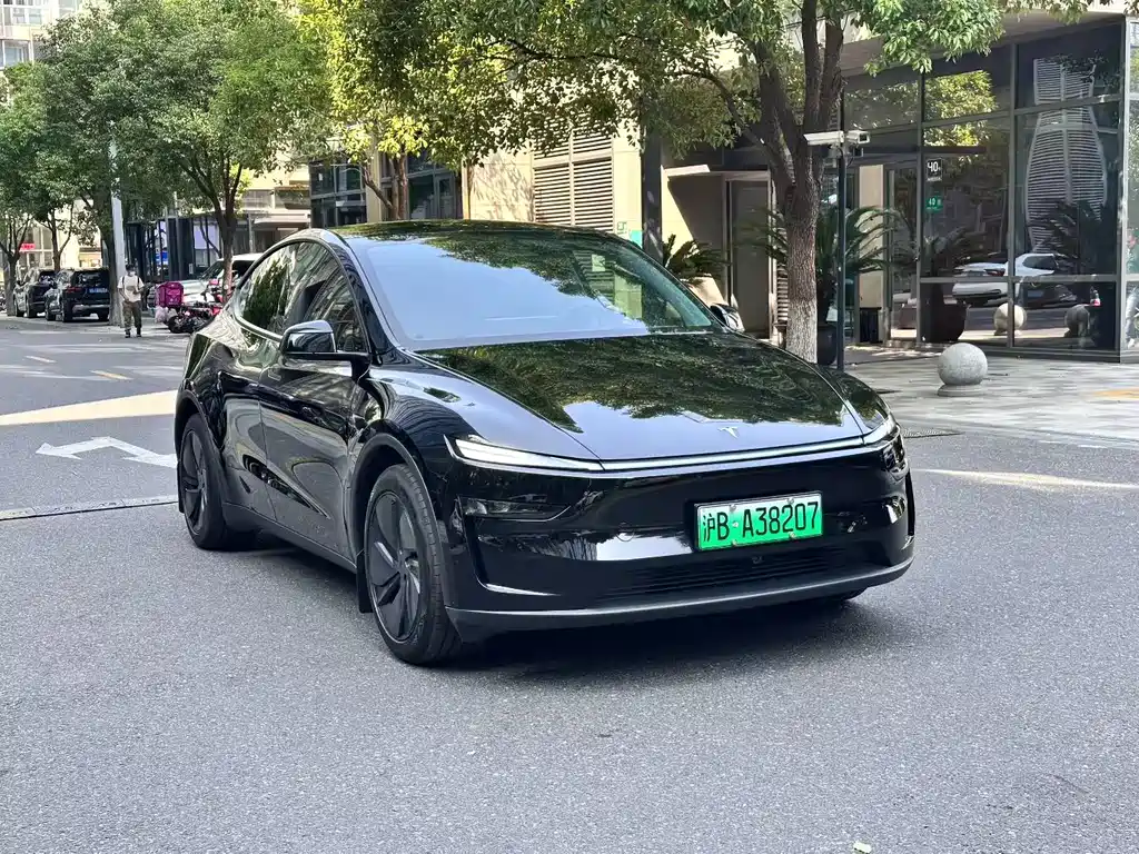 Tesla Model Y — миниатюра 3