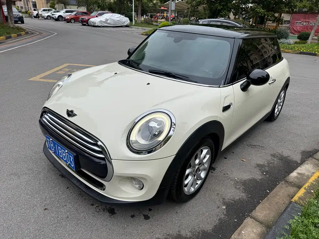 Mini Mini 2014