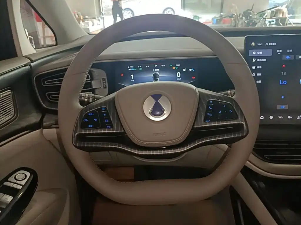 Denza Denza D9 — миниатюра 11