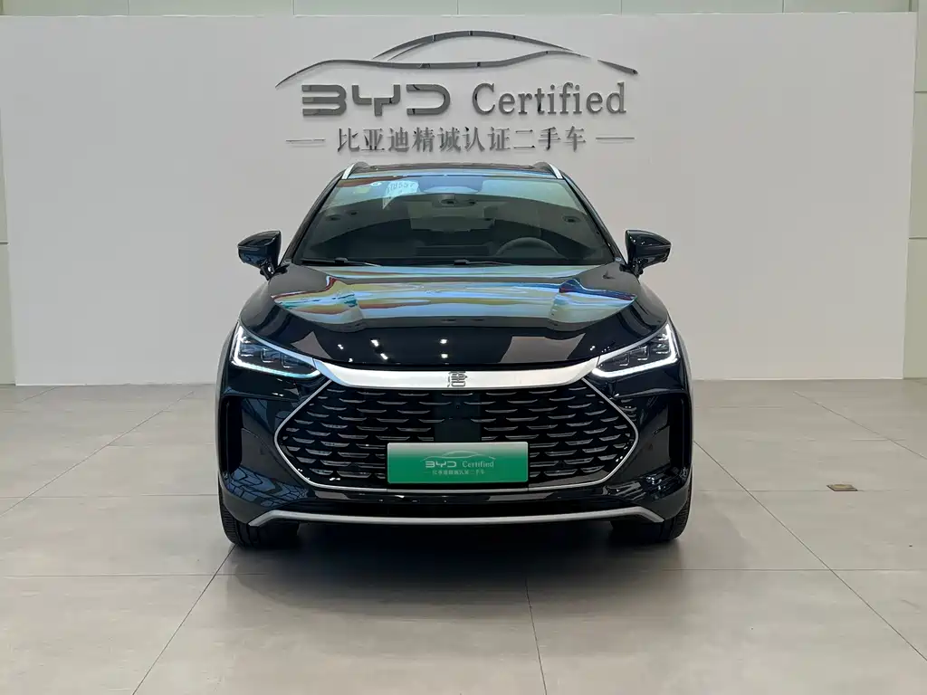 BYD Tang New Energy — миниатюра 2