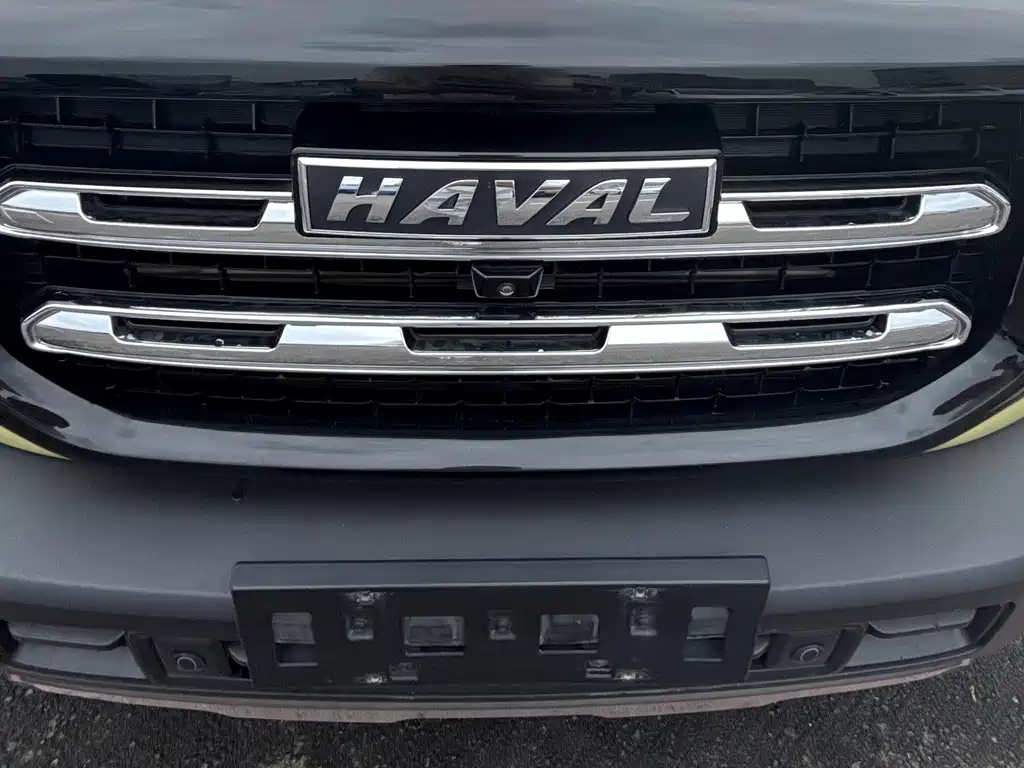 Haval Big Dog — миниатюра 4