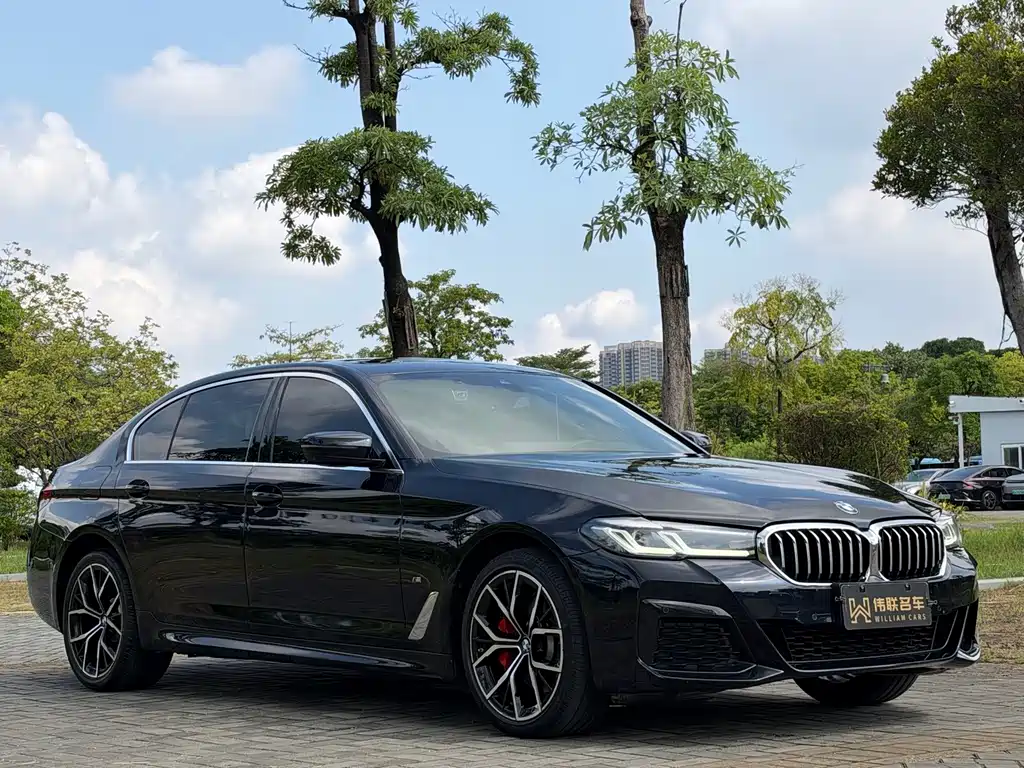 BMW 5 Series — миниатюра 3