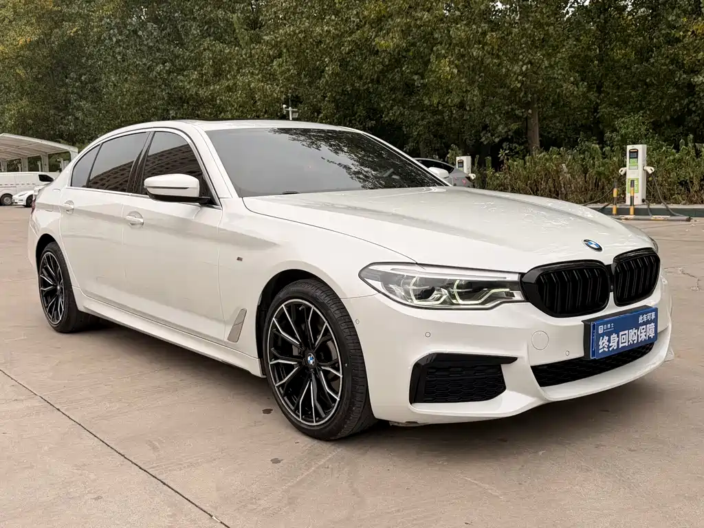 BMW 5 Series — миниатюра 3