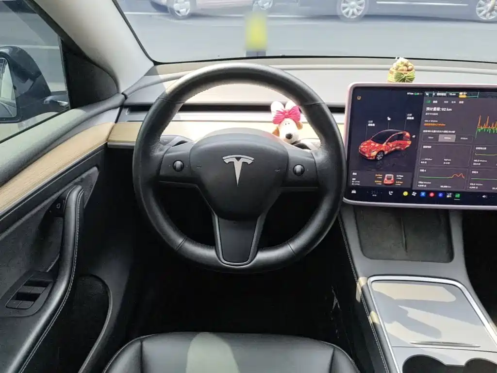 Tesla Model Y — миниатюра 11