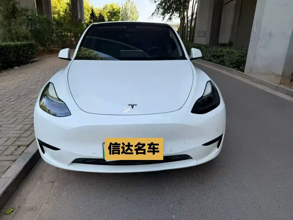 Tesla Model Y — миниатюра 2
