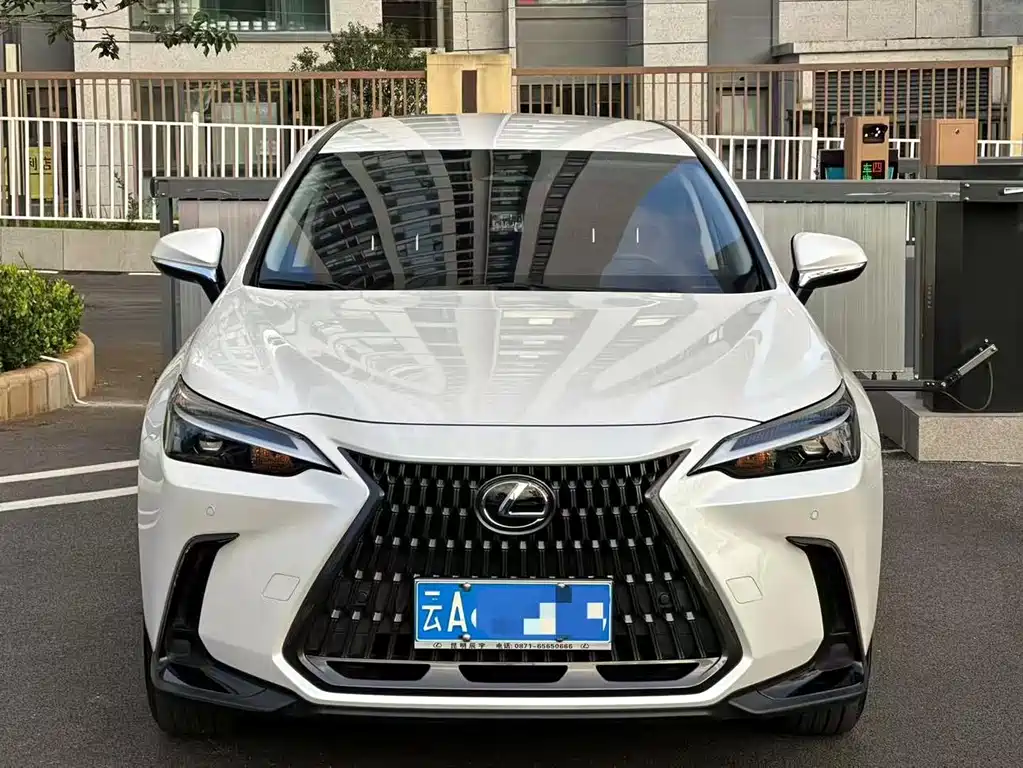 Lexus NX — миниатюра 2