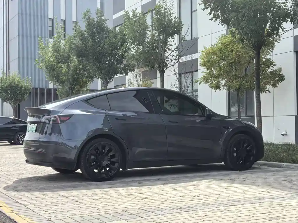 Tesla Model Y — миниатюра 7