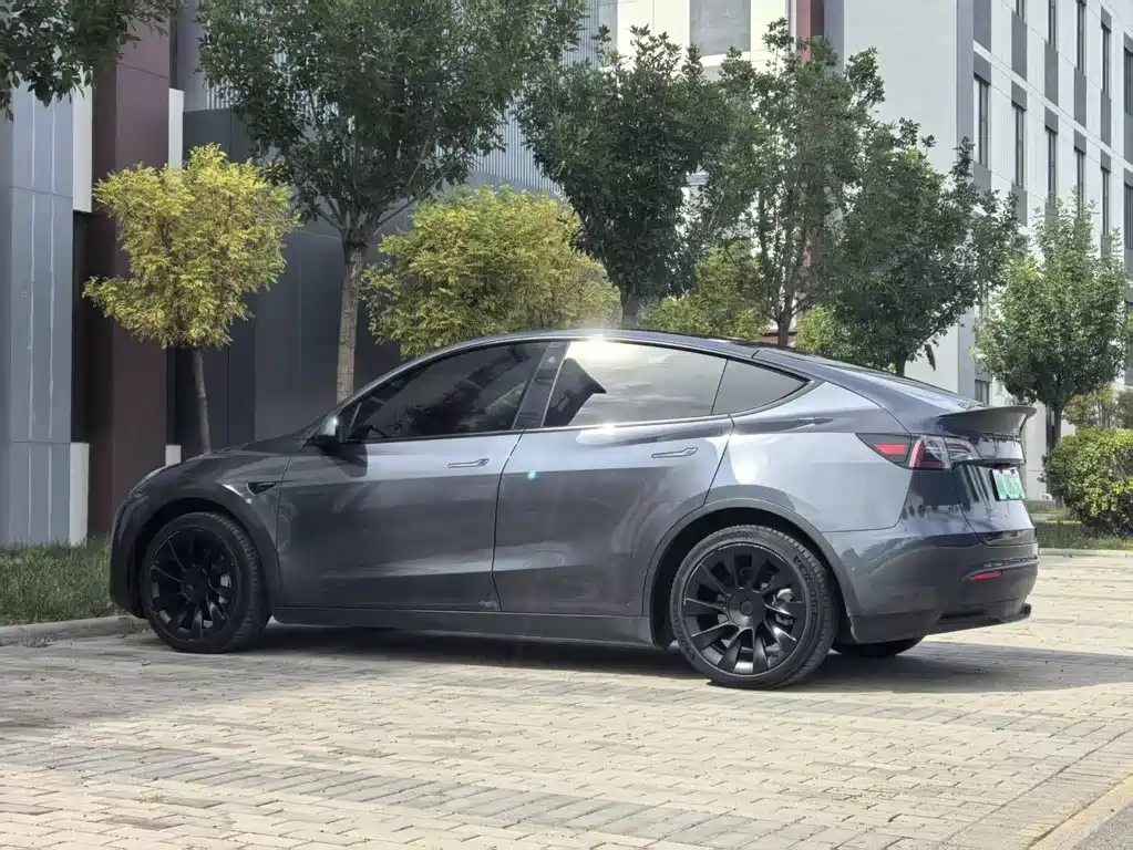 Tesla Model Y — миниатюра 9
