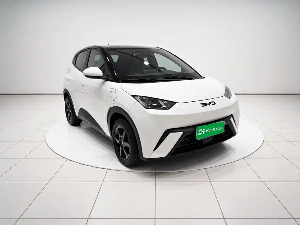 BYD Seagull — миниатюра 24