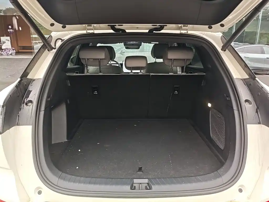 BYD Sealion 06 — миниатюра 19