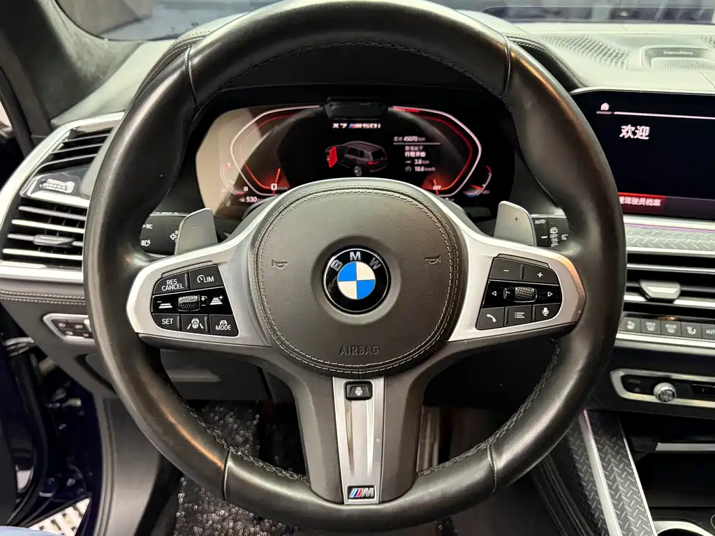 BMW X7 — миниатюра 4