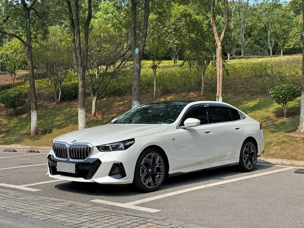 BMW 5 Series — миниатюра 2