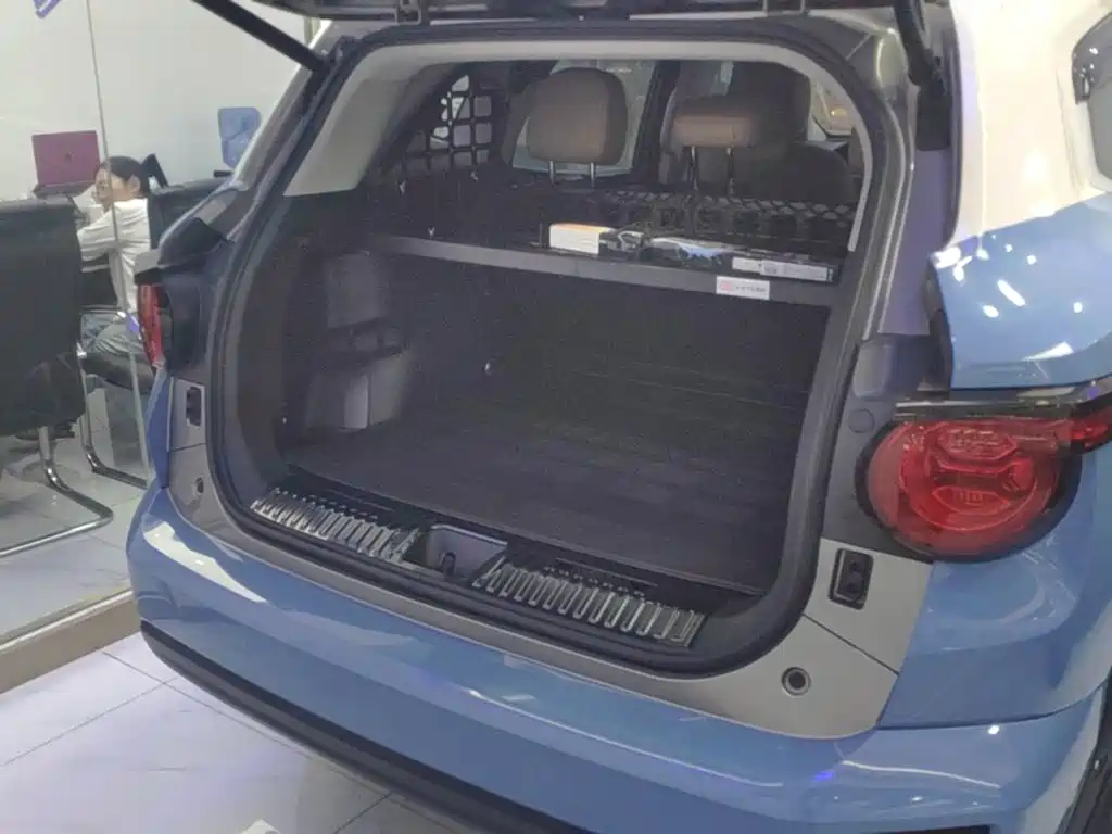 Haval Big Dog PLUS New Energy — миниатюра 19