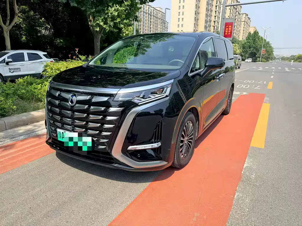 Denza D9