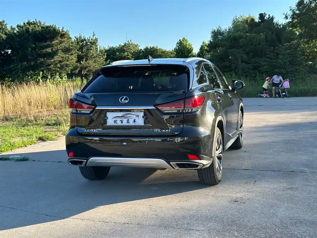 Lexus RX 2020 300 Elegant VI