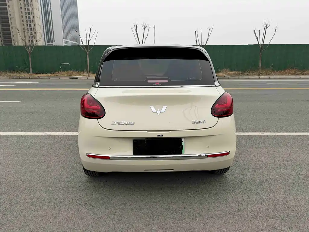 Wuling Binguo 2025 333km Enjoy