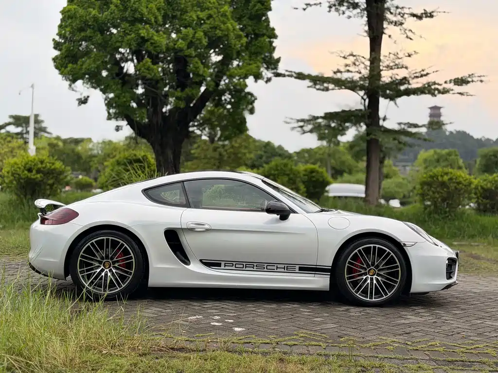 Porsche Cayman — миниатюра 3