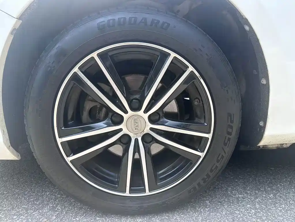BYD Surui — миниатюра 12