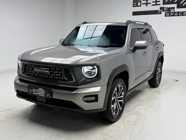 2024 Haval Big Dog