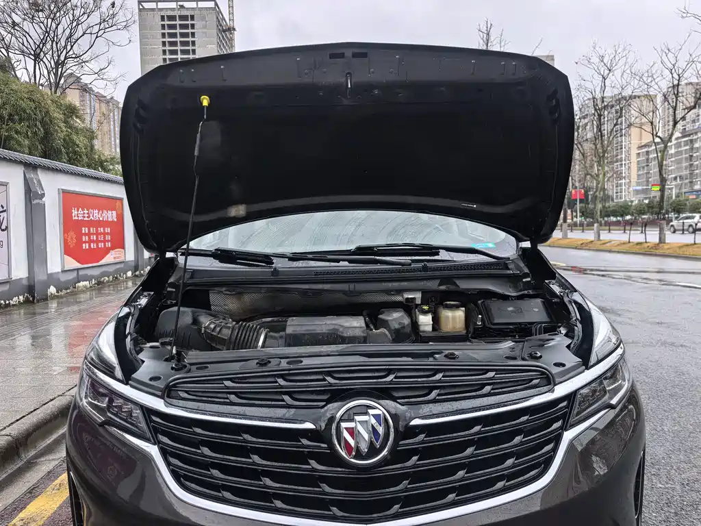 Buick GL8 — миниатюра 18