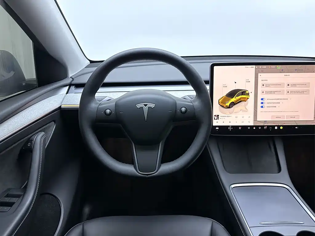 TESLA MODEL Y
