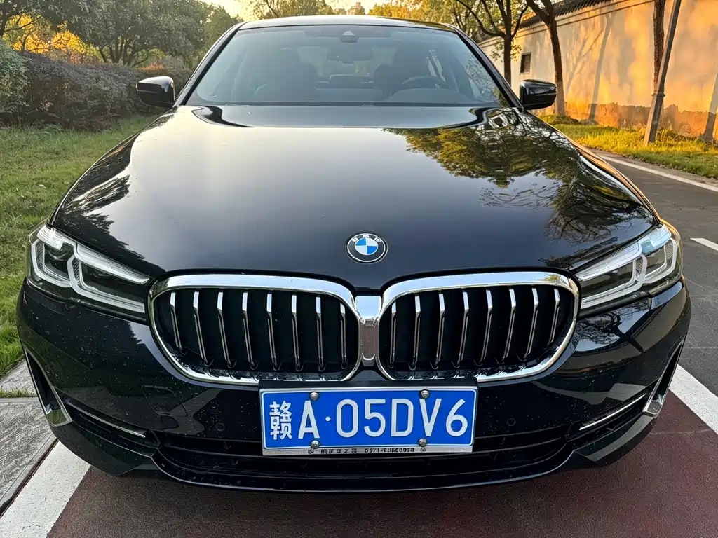 BMW 5 Series — миниатюра 2