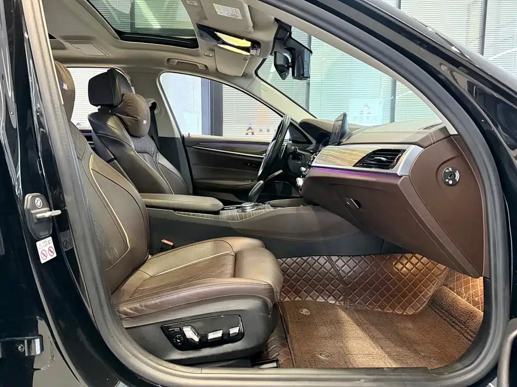 BMW 5 Series 5 2020 530Li Premium Luxury
