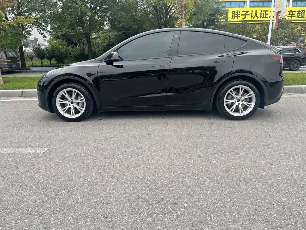 Tesla Model Y — миниатюра 15