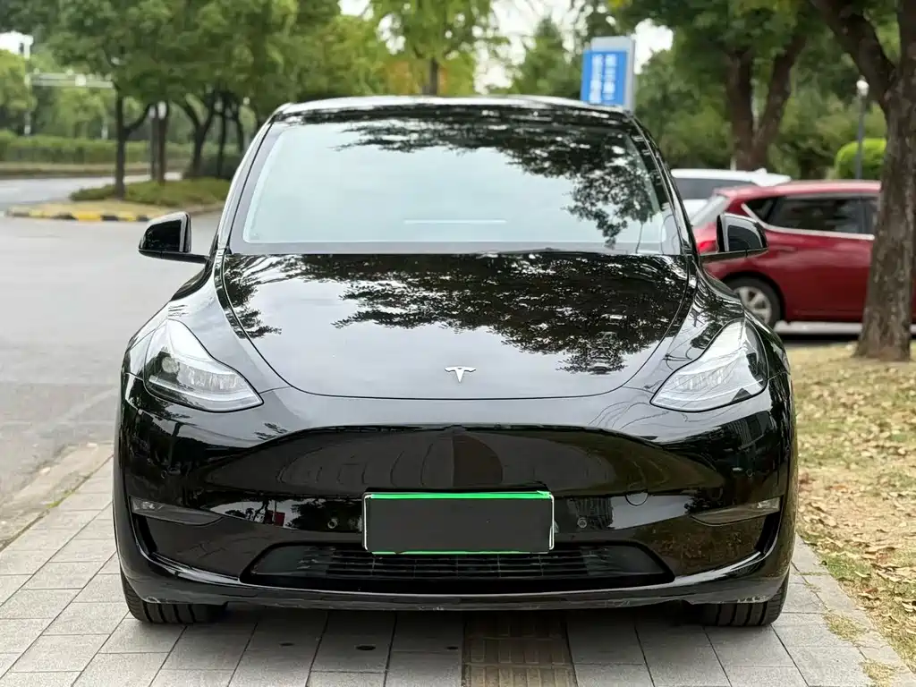Tesla Model Y — миниатюра 2
