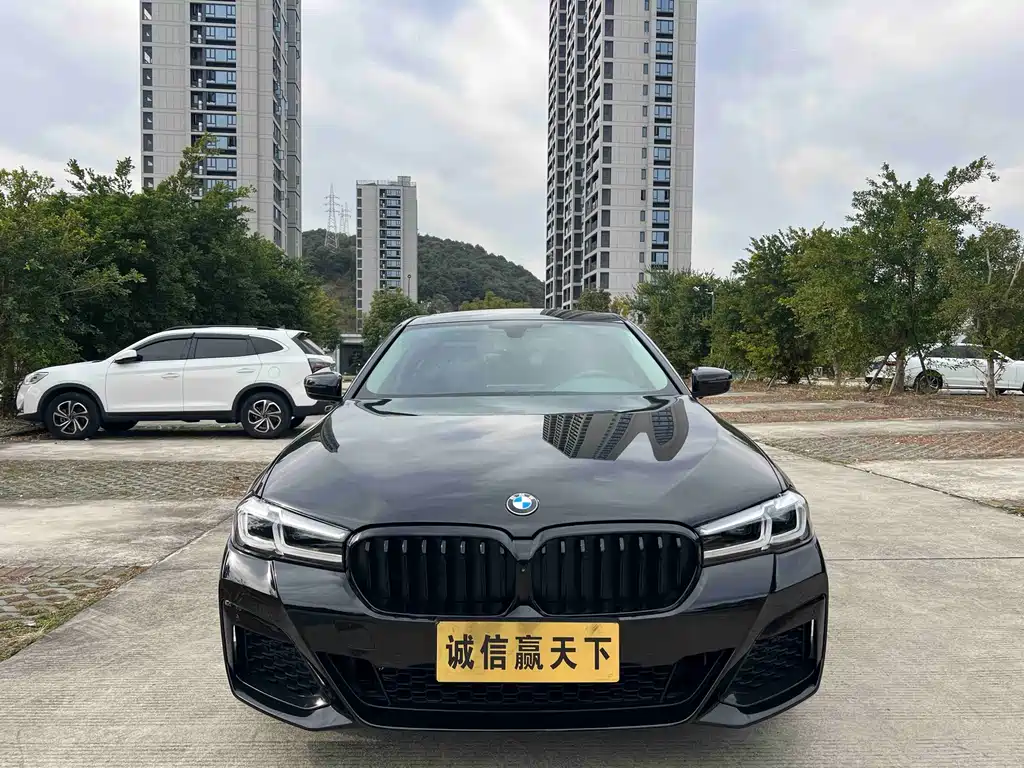 BMW 5 Series 5 2019 530Li Lead Luxury