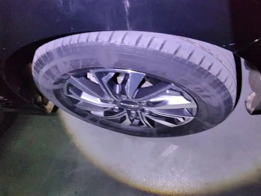 SAIC MAXUS CHASE G20