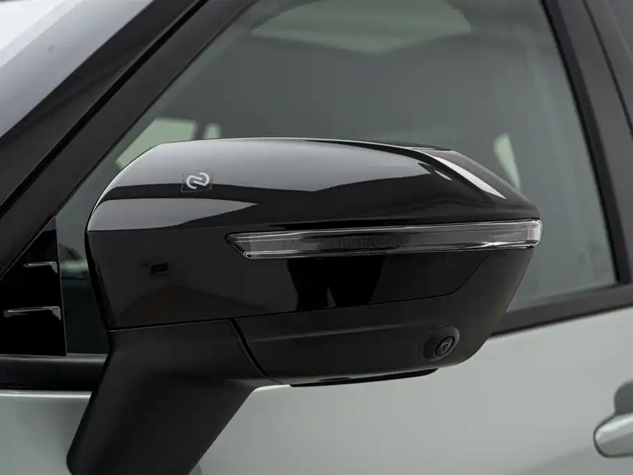 FORD LINGRUI NEW ENERGY