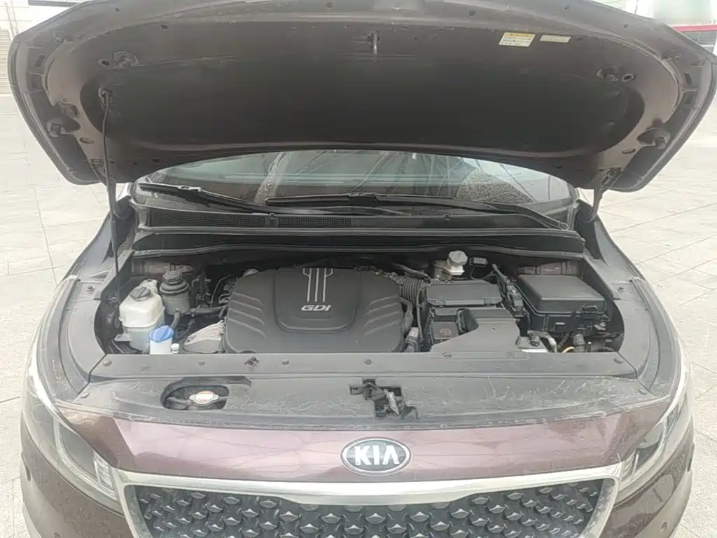 Kia Carnival — миниатюра 20