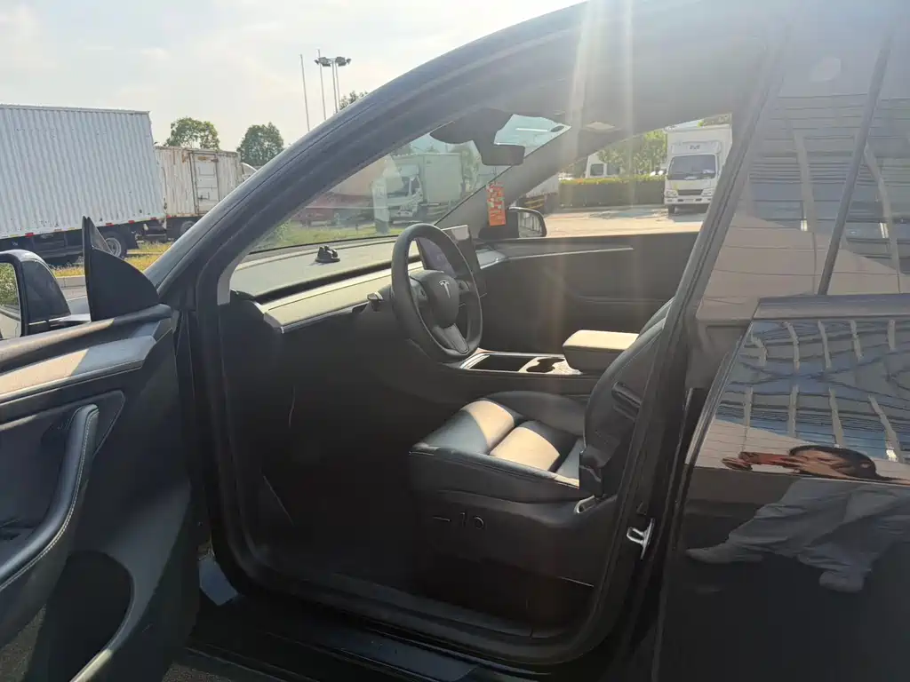 Tesla Model Y — миниатюра 8