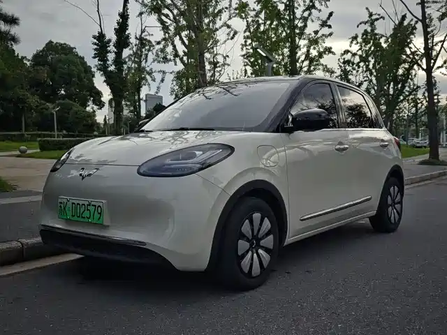 2024 Wuling Motors Binguo
