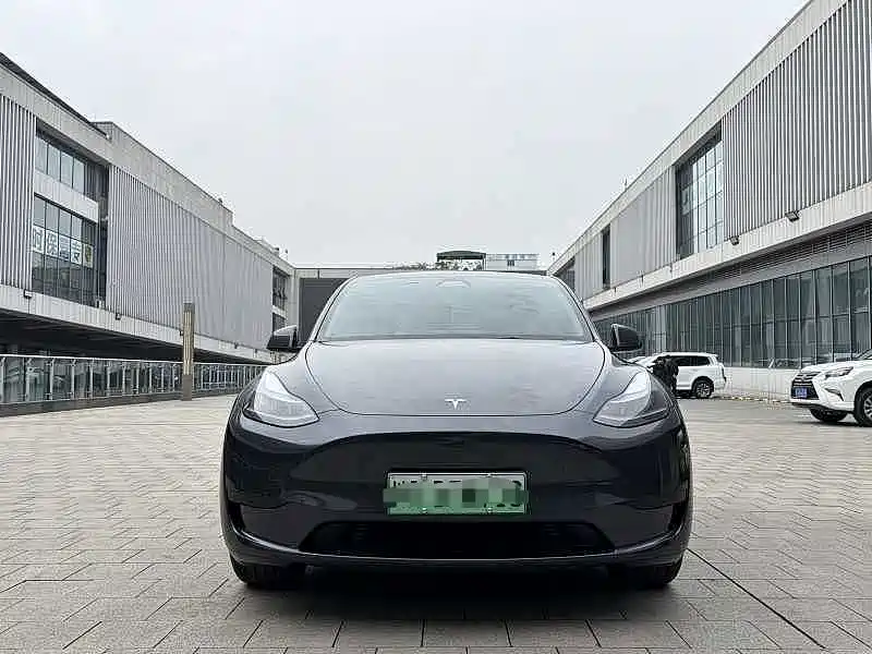 Tesla Model Y — миниатюра 2