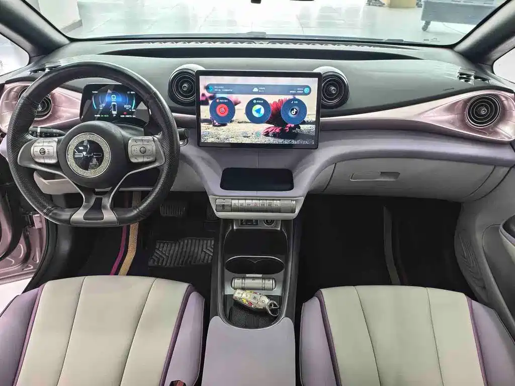 BYD Dolphin — миниатюра 6