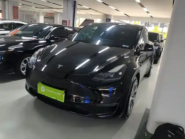 Tesla Model