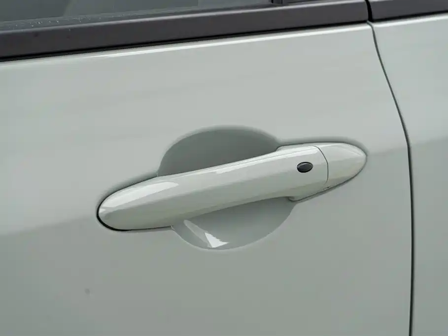 FORD LINGRUI NEW ENERGY