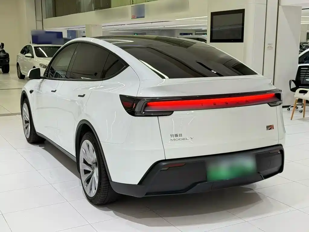 Tesla Model Y — миниатюра 24
