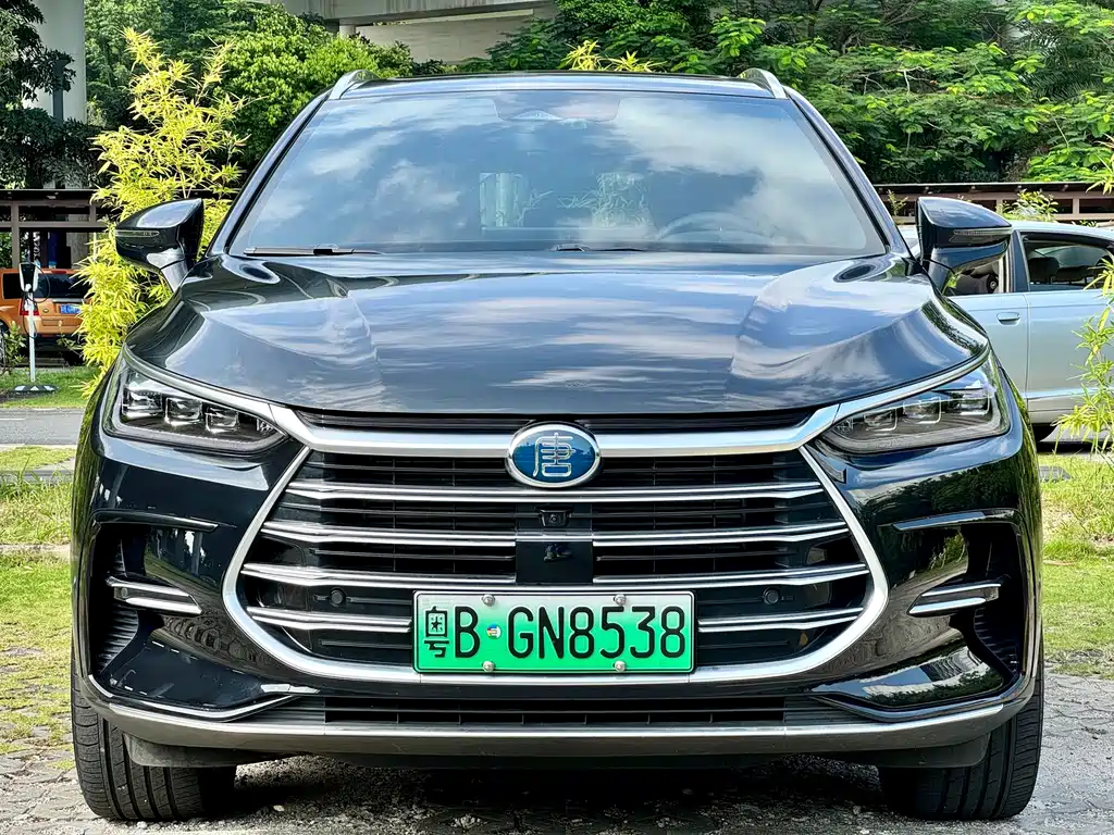 BYD Tang New Energy — миниатюра 2